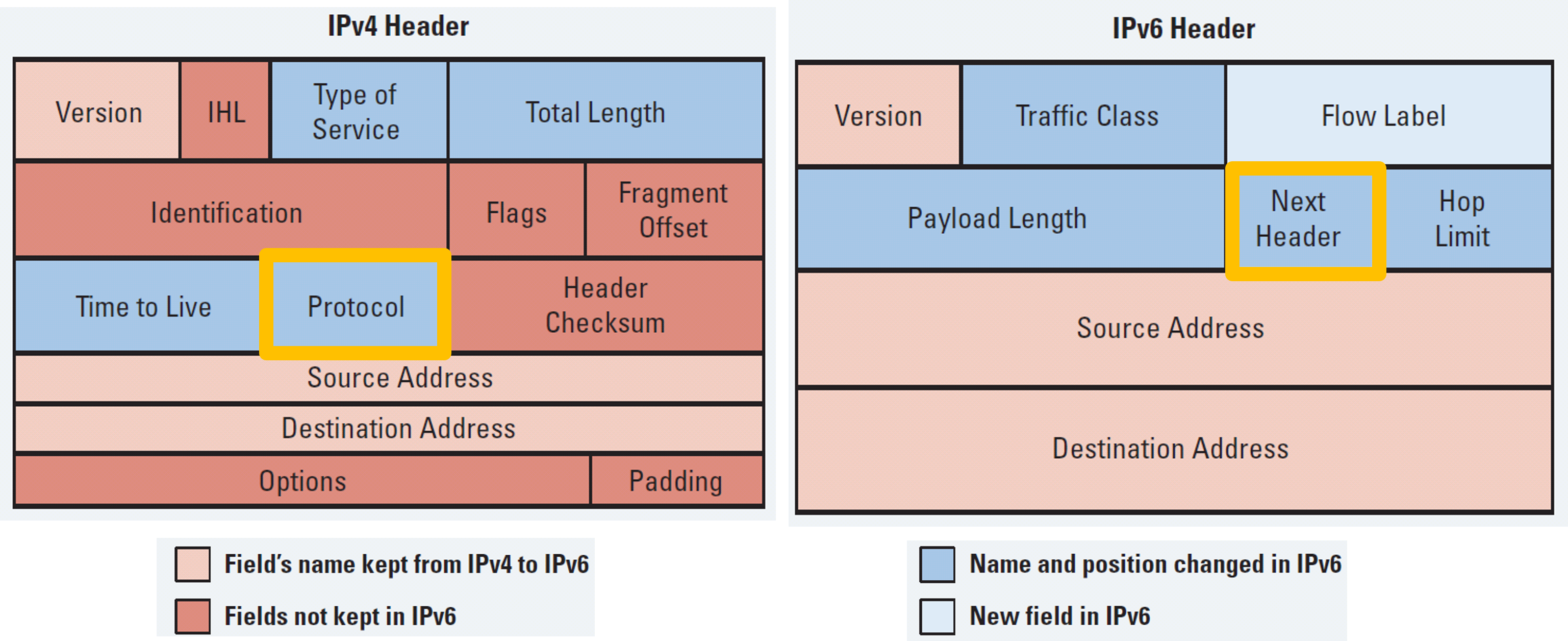 ipv6 next header